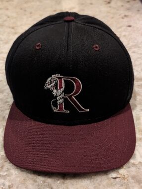 VTG Wisconsin Timber Rattlers Minor League Baseball Snapback Rare Logo